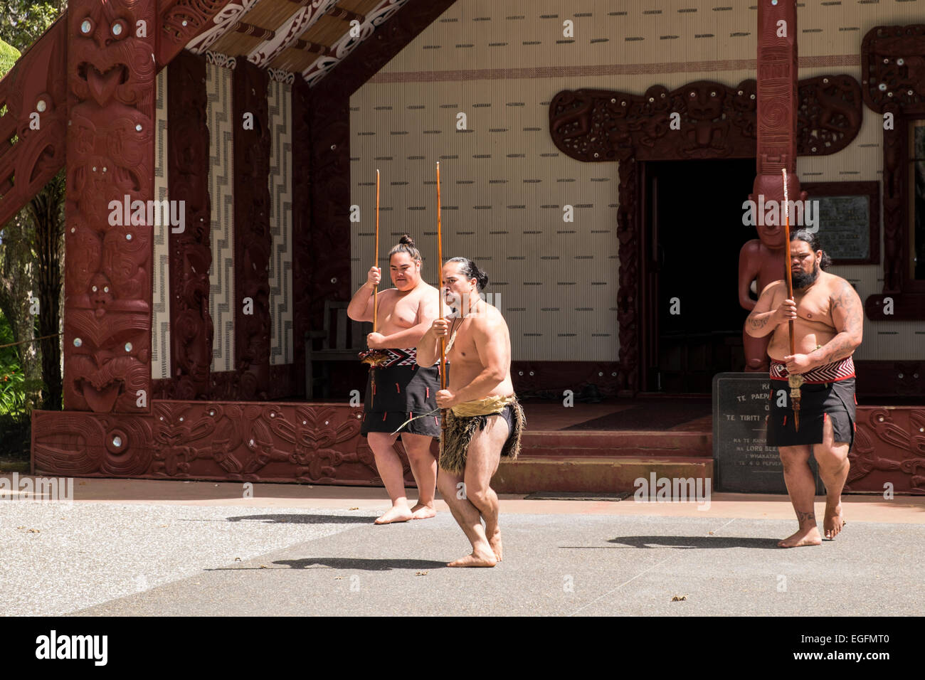 Te Pitowhenua Gruppe von Darstellern handeln eine traditionelle Maori Begrüßung für Touristen und Besucher an den Waitangi Treaty Grounds, Nort Stockfoto