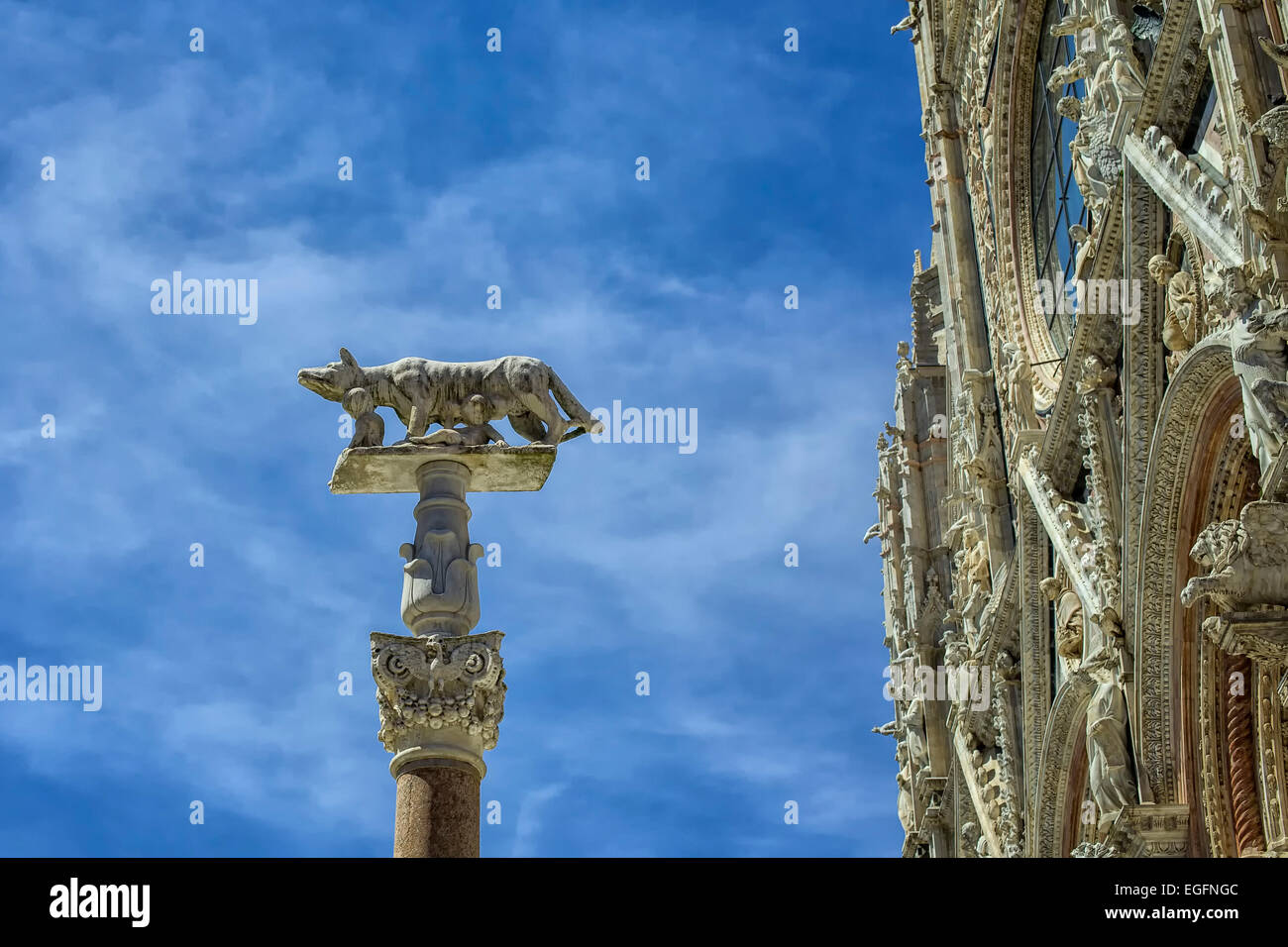 Spalte mit der She-Wolf vor der Fassade des Doms in Siena, Italien Stockfoto