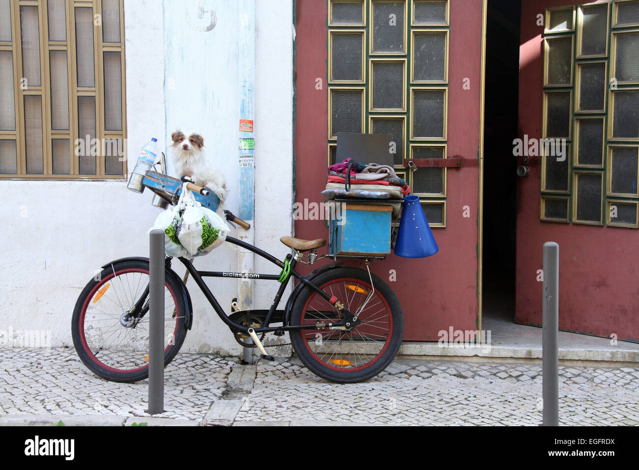 Fahrrad und Hund auf einer Straße im Stadtteil Alfama, Lissabon Stockfoto