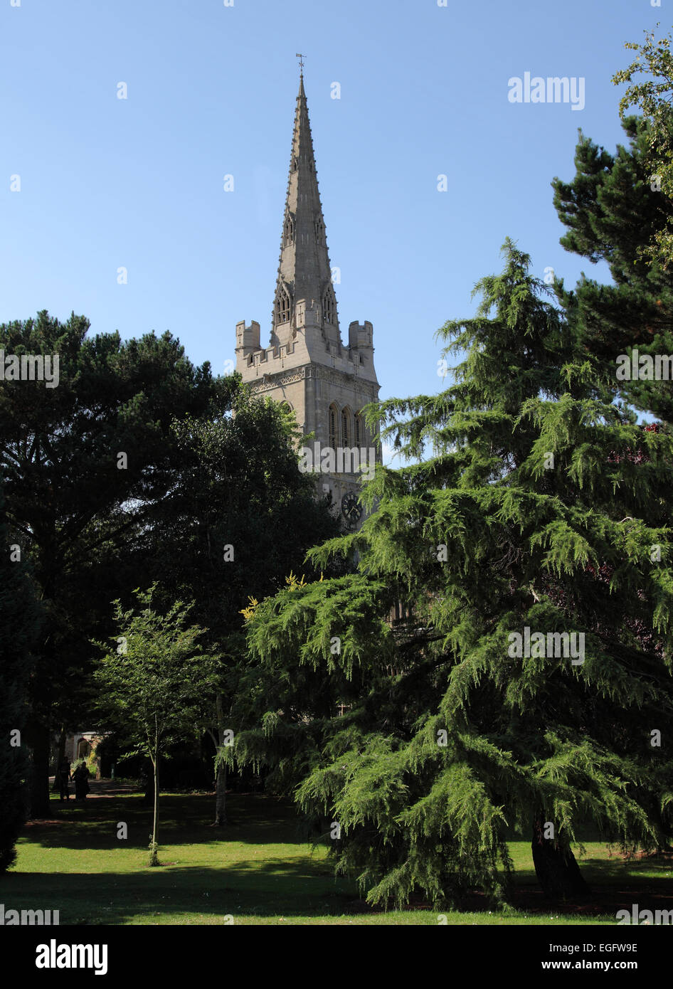 Pfarrkirche St. Peter und St. Paul, Kettering, Northamptonshire Stockfoto