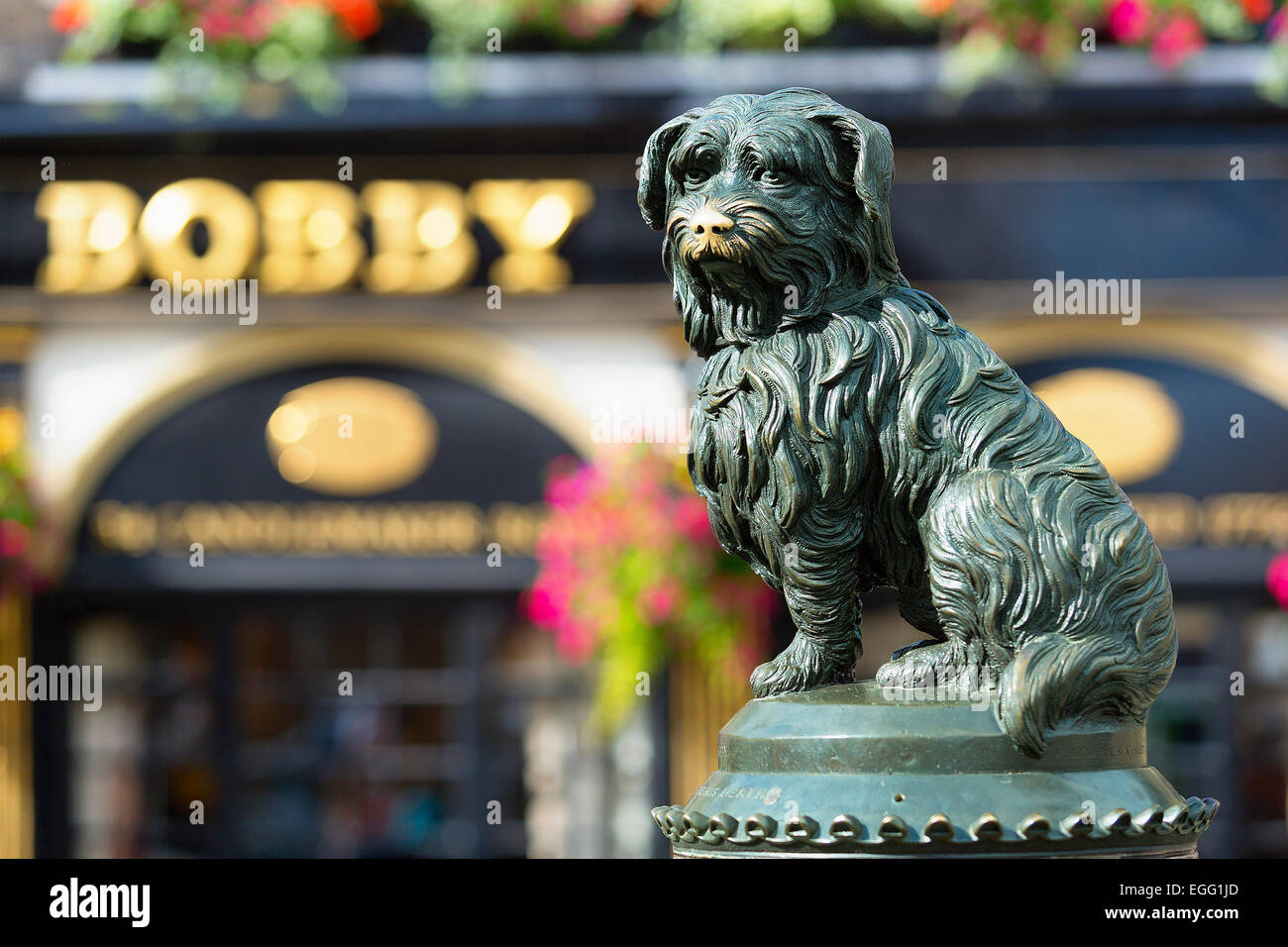 Weinend über Greyfriars Bobby, Edinburgh Stockfoto