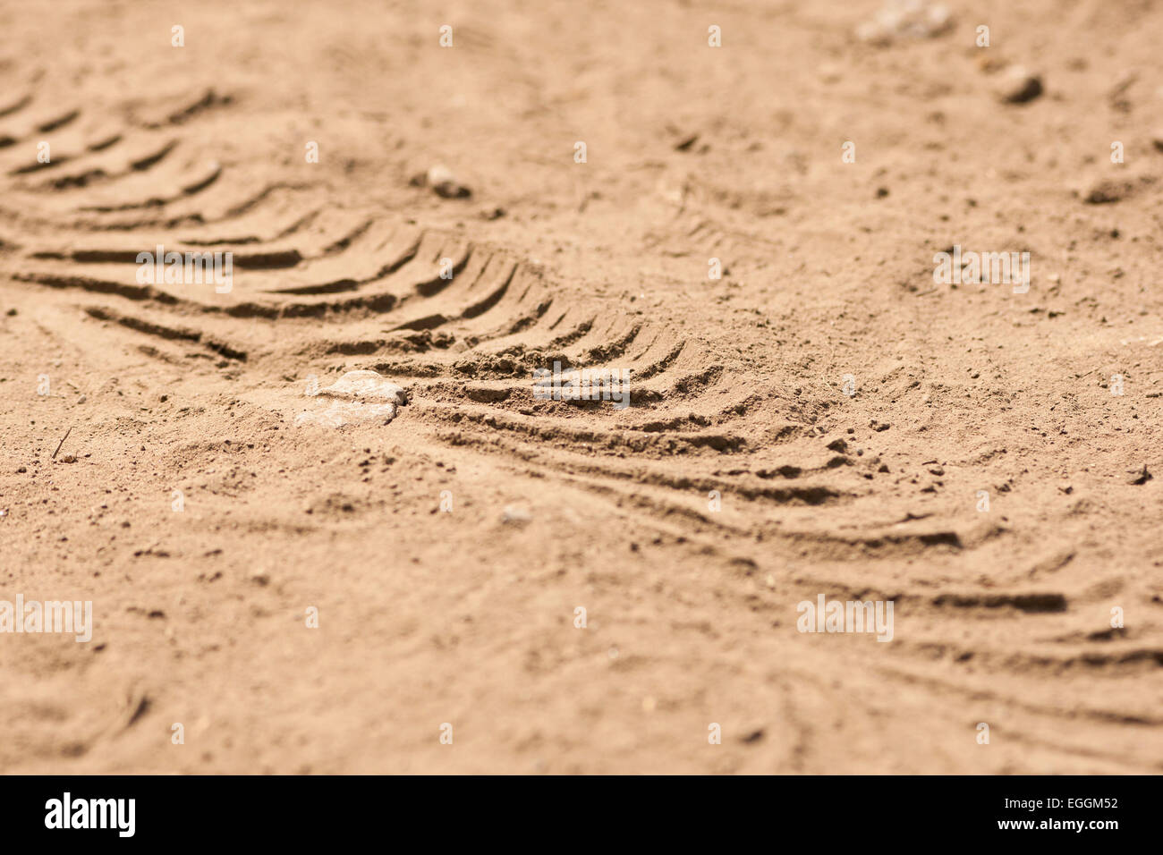 Reifen zu verfolgen, im Wüstensand Stockfoto