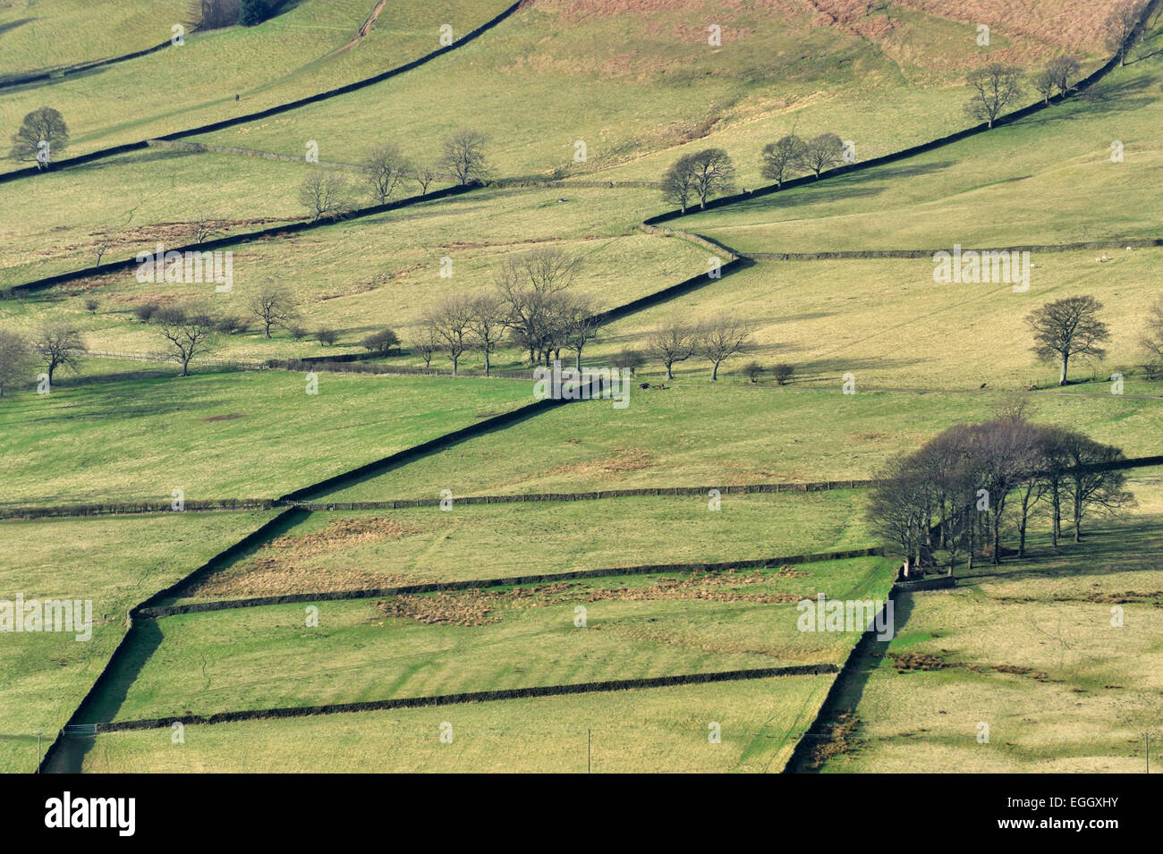 Trockenmauern, Vale Edale, Peak District, Derbyshire, UK Stockfoto