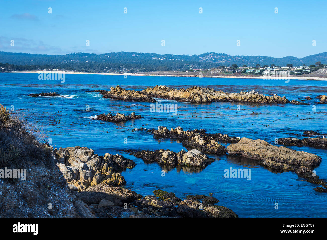 Blick auf das Meer und die felsige Küste am Point Lobos State Reserve, Monterey County, Kalifornien, USA. Stockfoto