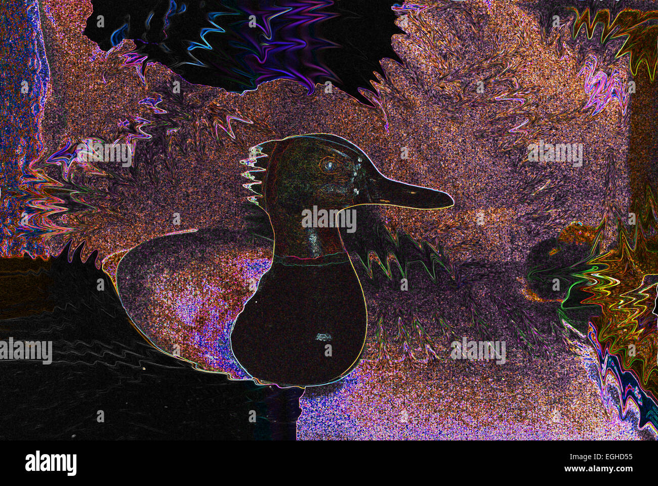 abstrakte Vogel Vogel nahe kennzeichnete sie Farbbild Nachtzeit horizontale ein orange Papagei Photoshopped Studio Tier closeup Stockfoto