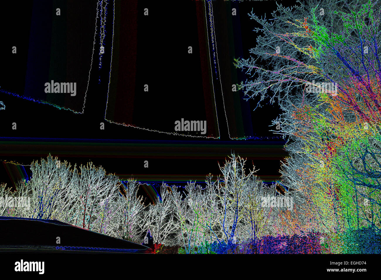 schwarze Farbe Bild digital außen vorgestellten horizontale viele Nacht Photoshopped polarisiert Bäume Baum Bäume Gebäude außen Stockfoto