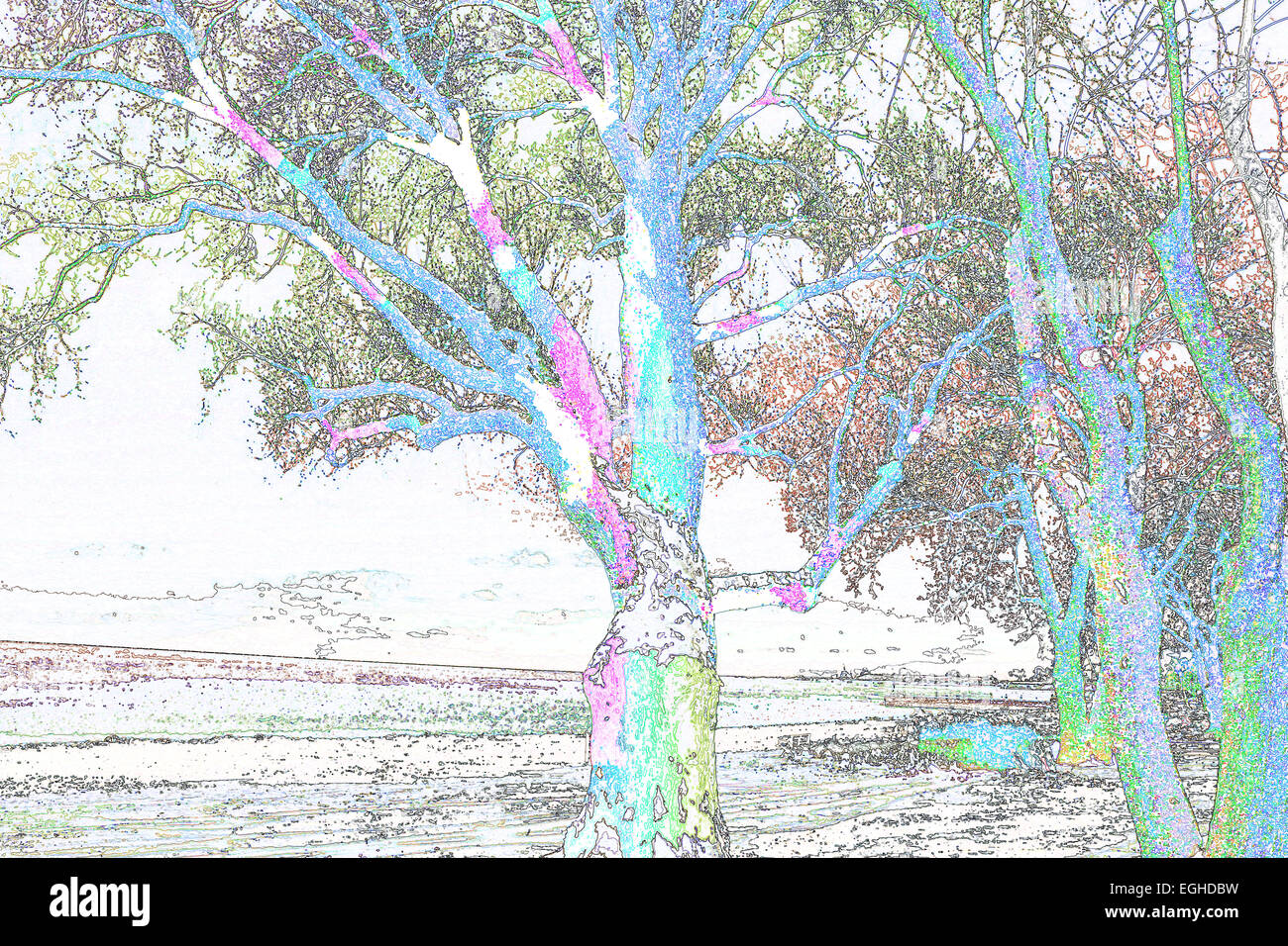 abstrakte Bäume Luftbild Farbe Bild tagsüber außen vorgestellten horizontale viele Photoshopped Baum weiße Gebäude Außenfarbe Stockfoto