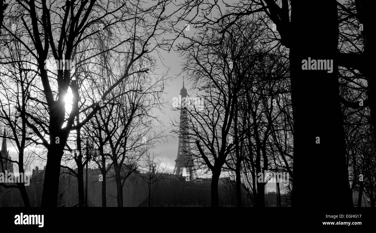Eiffelturm, Paris, Frankreich. Stockfoto
