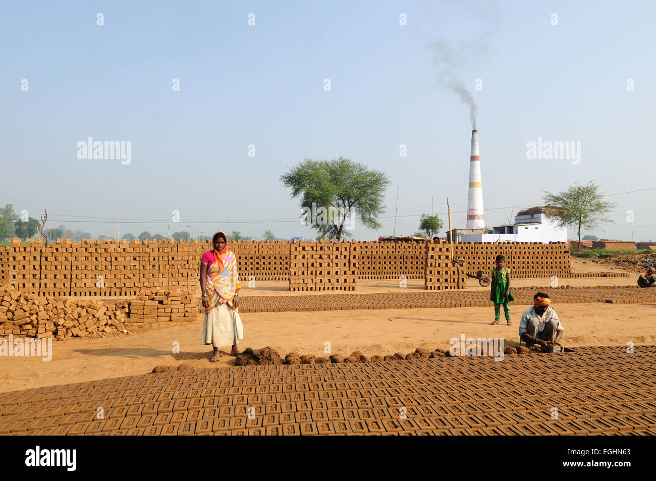 Indische Familie hart arbeiten machen handgefertigte Ziegel und verlassen sie zum Trocknen in der Sonne Madhya Pradesh, Indien Stockfoto
