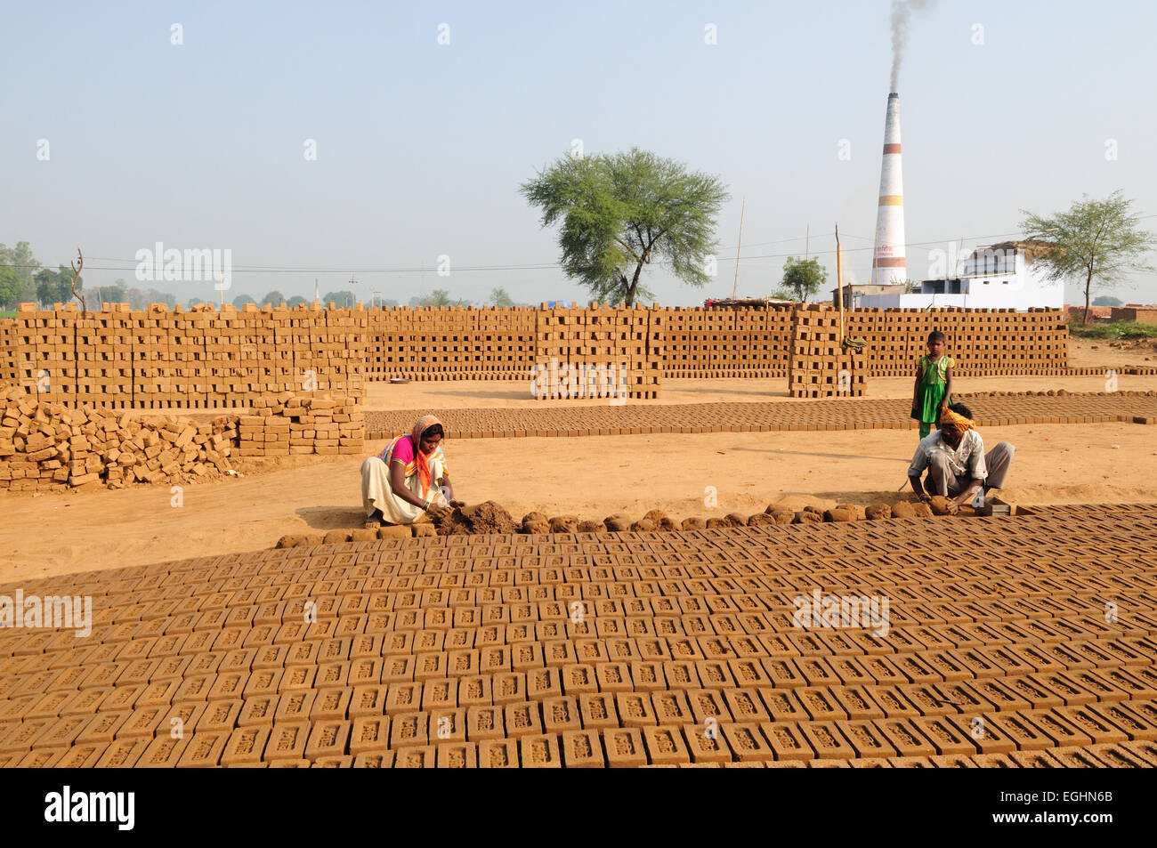 Indische Familie hart arbeiten machen Ziegel handgefertigte Ziegel und verlassen sie zum Trocknen in der Sonne Madhya Pradesh, Indien Stockfoto