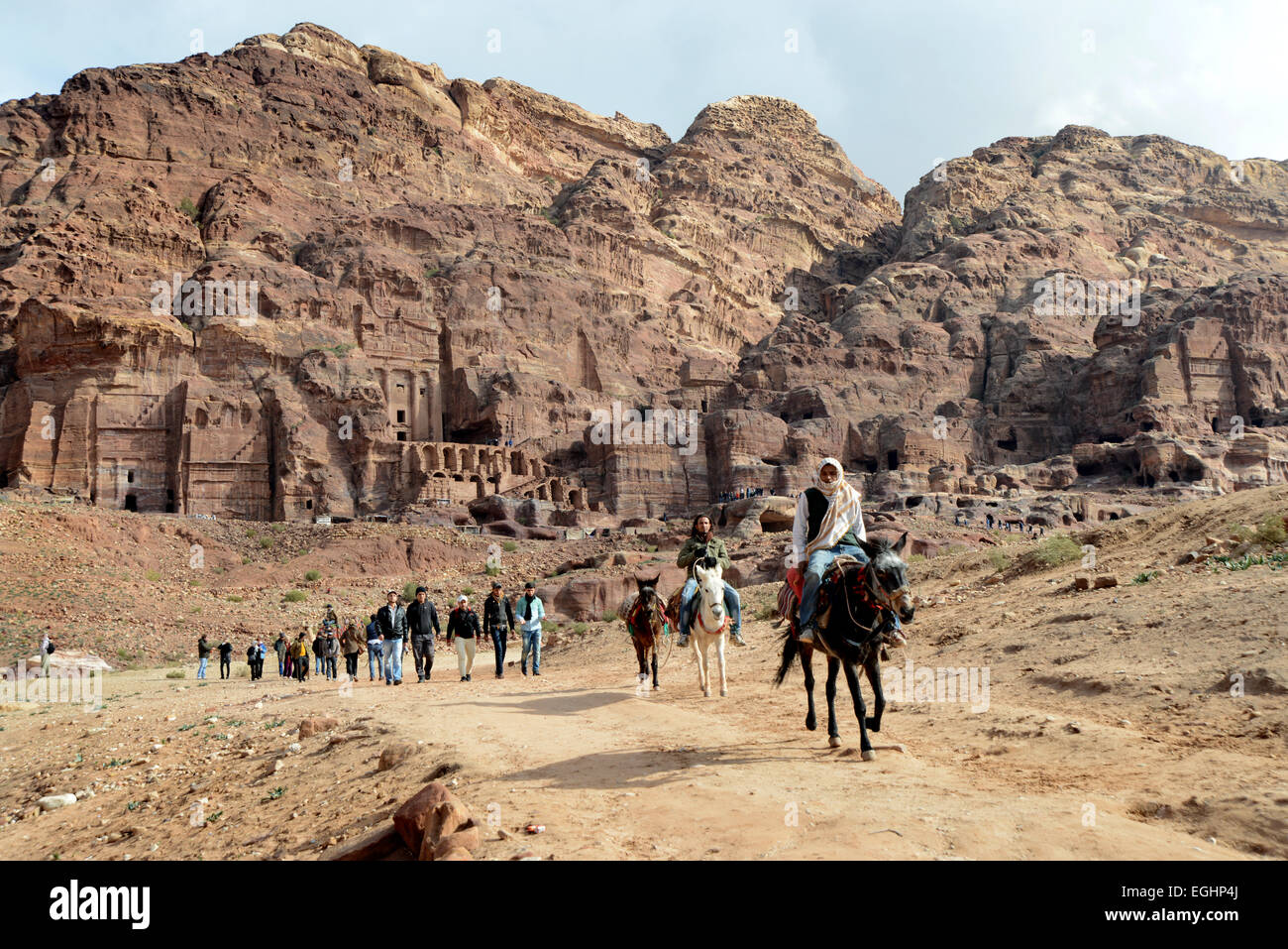 Jordanien-PETRA Kamele erwarten Touristen auf die Welt berühmte historische Stätte Stockfoto