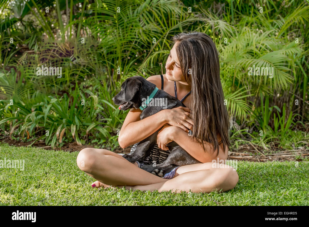 Junge Teen Girl spielt mit Labrador-Welpe auf dem Arm auf Rasen Garten. Stockfoto
