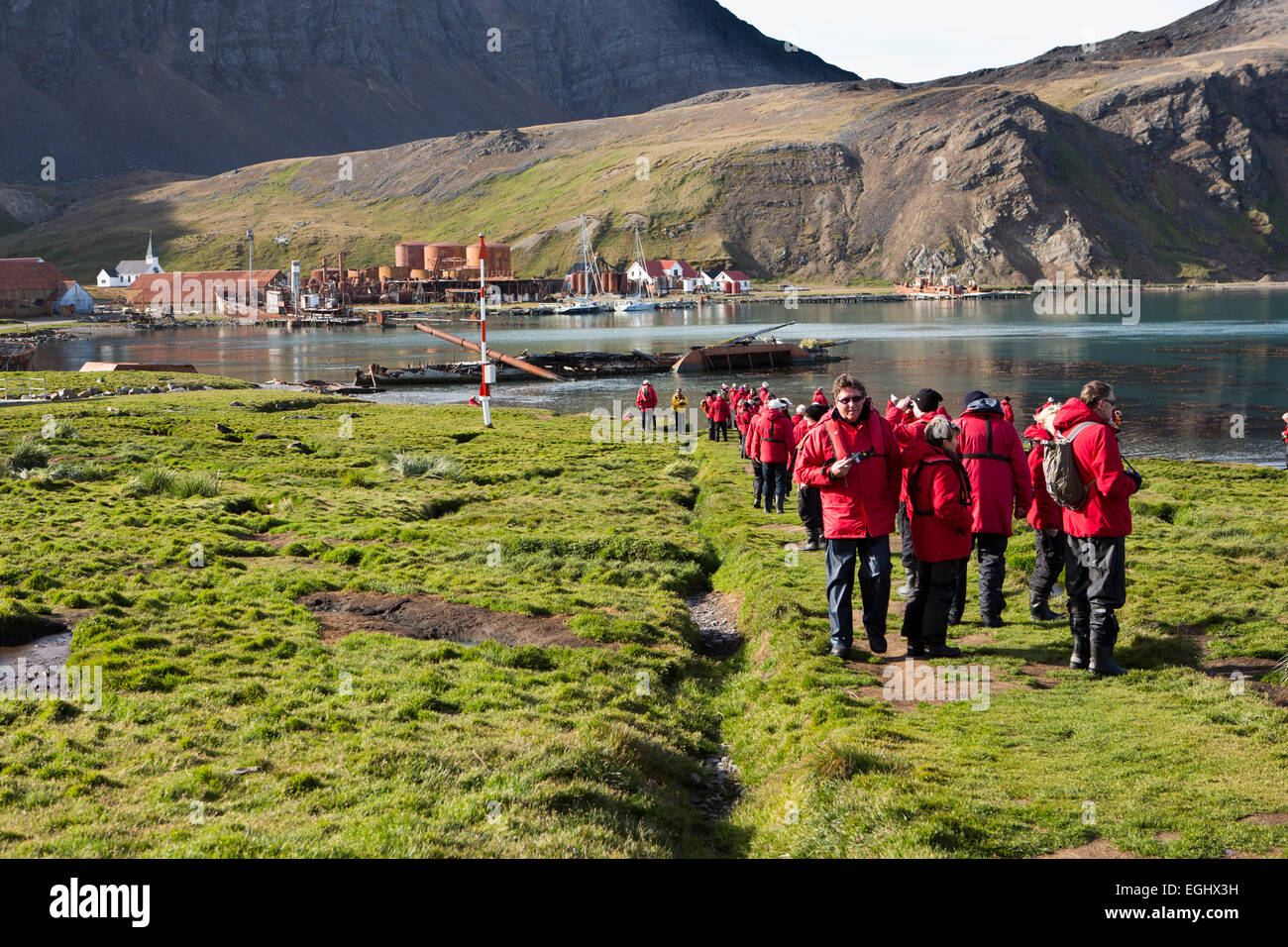 Süd-Georgien, Cumberland Bay, Grytviken, Gruppe der Kreuzfahrtpassagiere in roten parkas Stockfoto