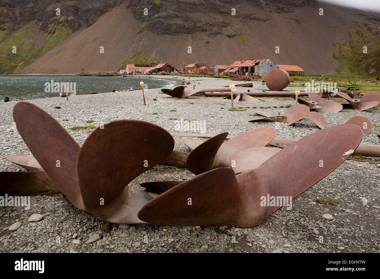 Süd-Georgien, Stromness, verschrottet Schiffe Propellern am Strand außerhalb alte Walfangstation Stockfoto