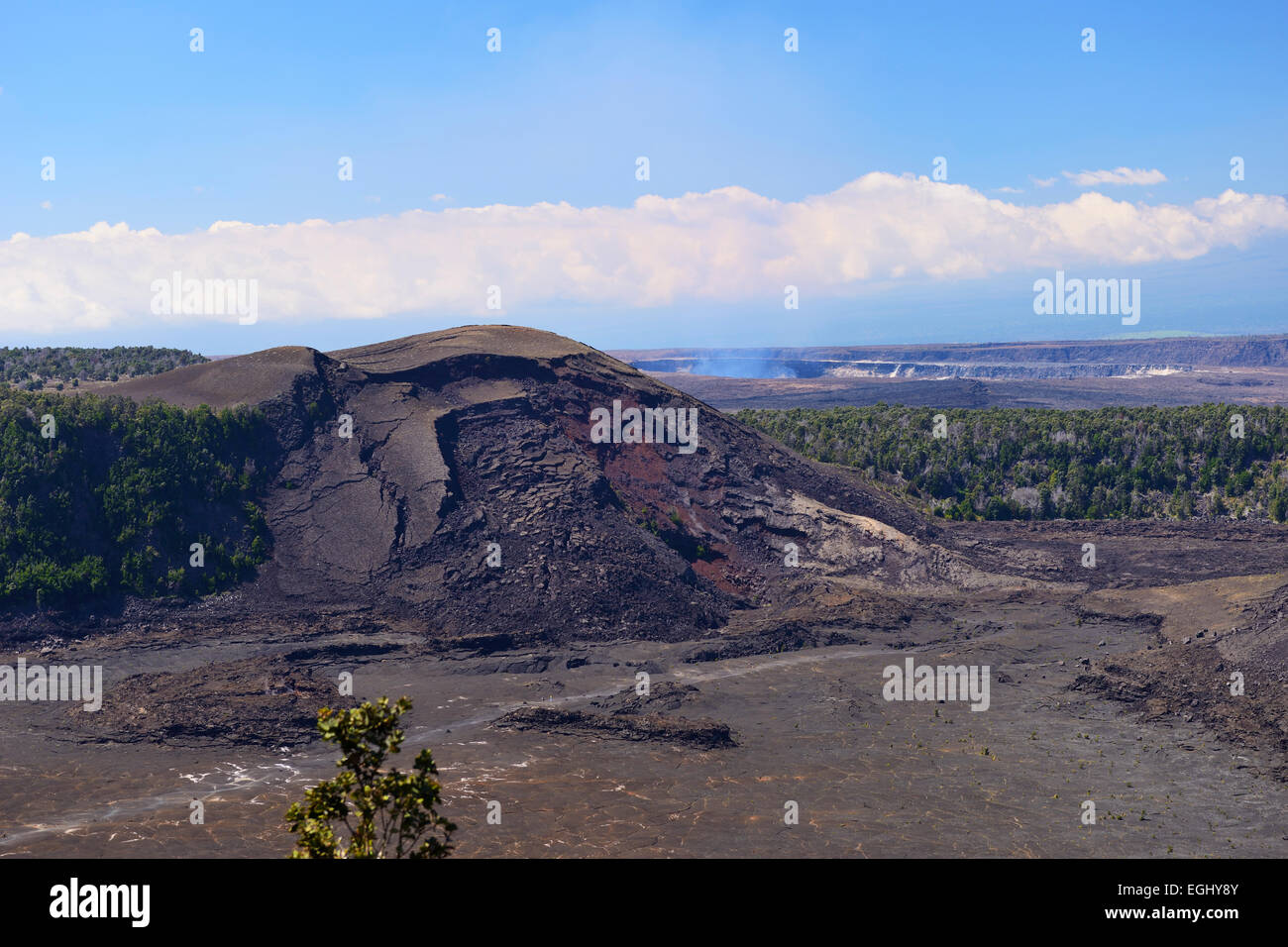 Kilauea Iki Trail - Volcanoes-Nationalpark, Big Island, Hawaii, USA Stockfoto