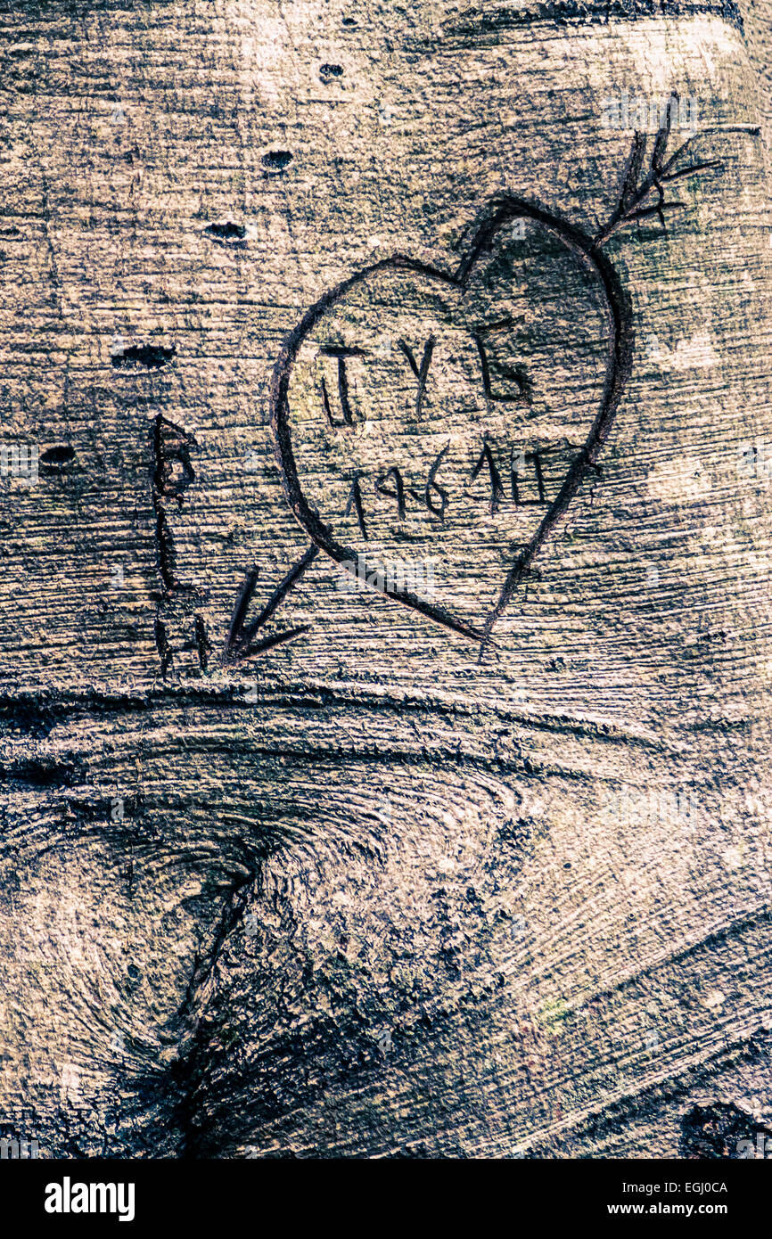 Herzen in einem Baumstamm Stockfoto