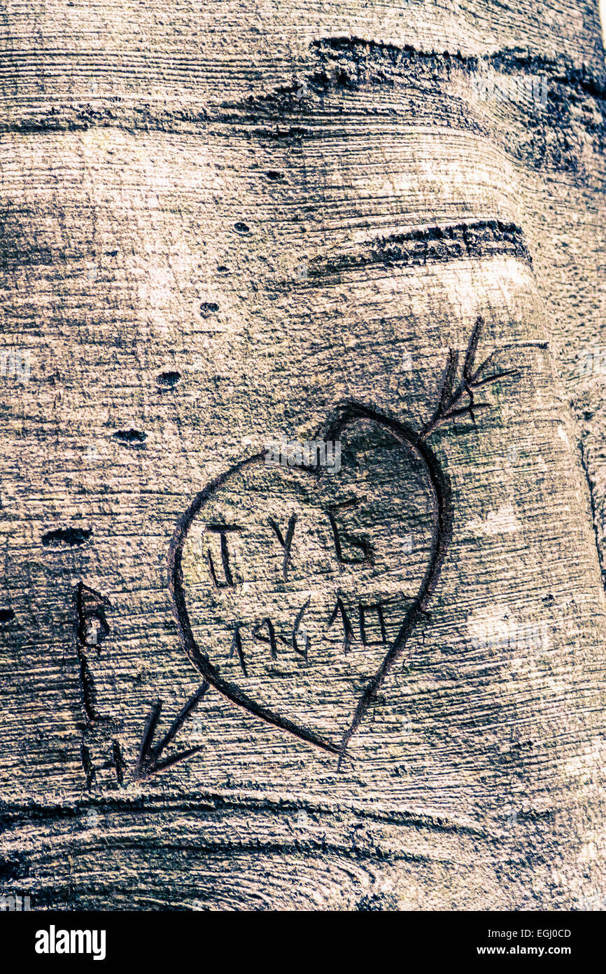 Herzen in einem Baumstamm Stockfoto