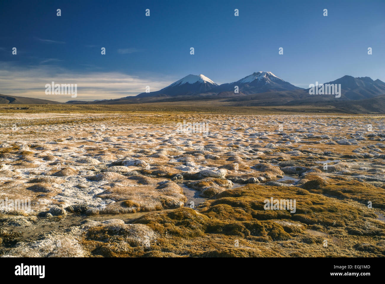 Malerische Aussicht der bolivianischen Vulkane, höchsten Gipfeln in Bolivien im Sajama Nationalpark Stockfoto