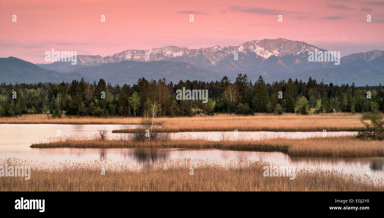 Deutschland, Bayern, Osterseen Seen Stockfoto