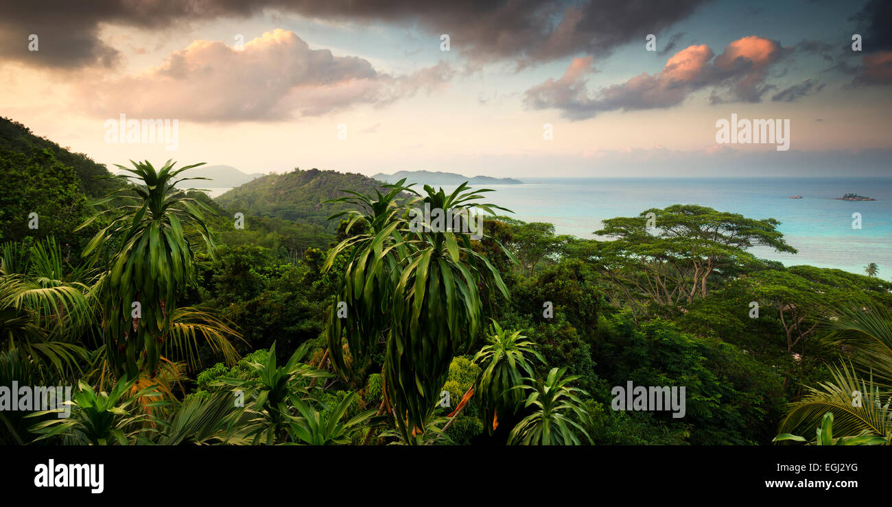 Seychellen, Praslin, Regenwald, Ansicht, Mango Lodge Stockfoto