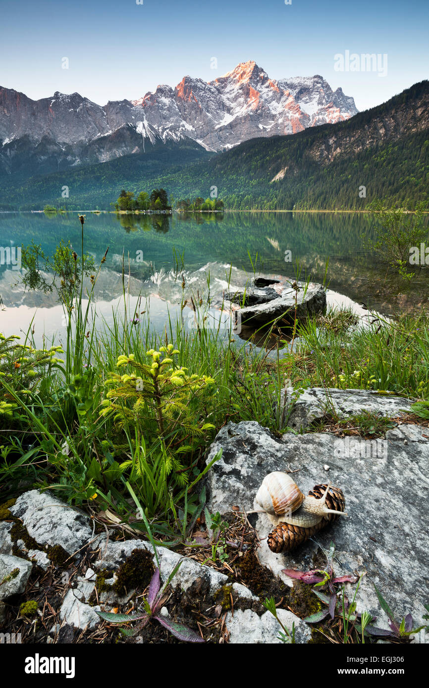 Deutschland, Bayern, See Eibsee, Alpen, Zugspitze, Reflexion, Stockfoto