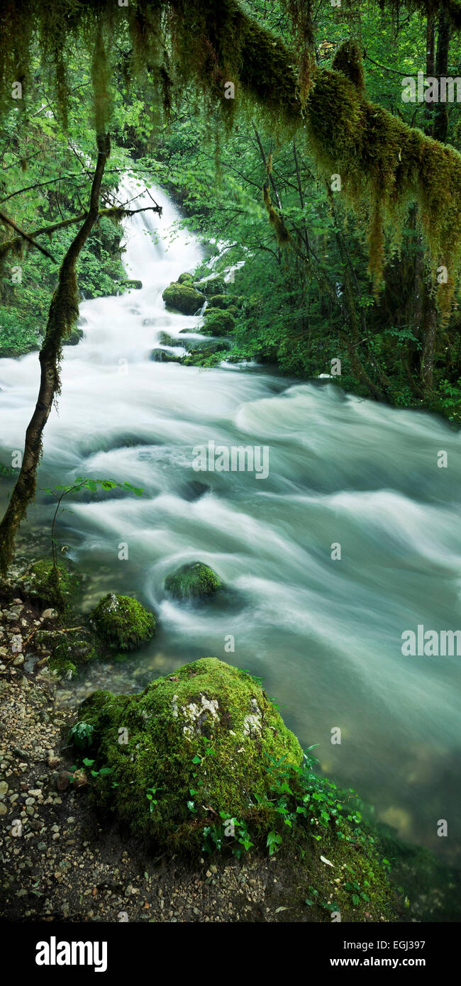 Frankreich, Jura rustikaler Cascades du Flumen, Nationalpark, Stockfoto
