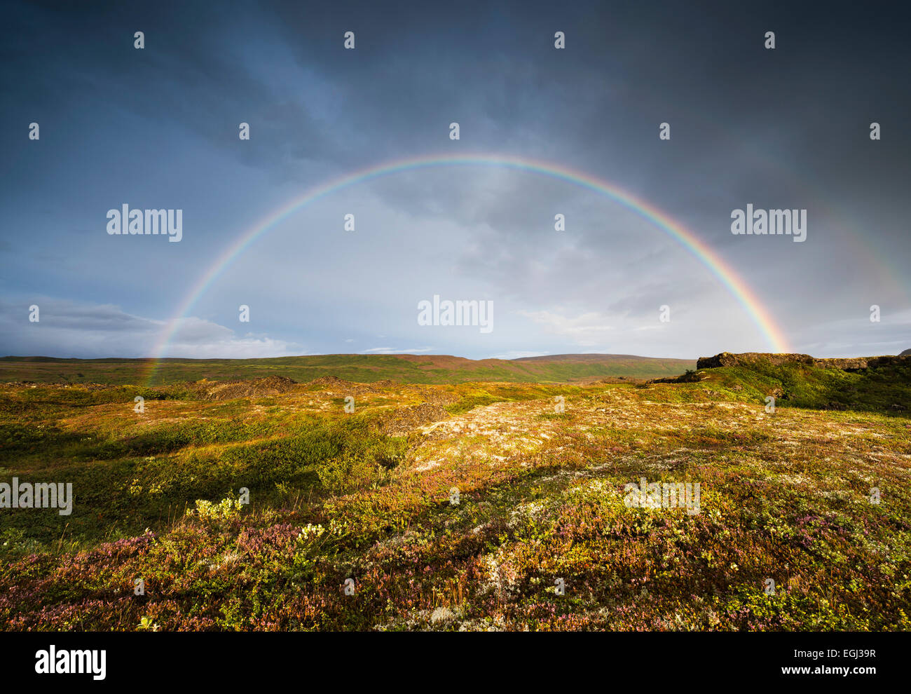 Tundra, Regenbogen, Breite, Einsamkeit, Atmosphäre, Licht, Wolken, Himmel, Erde, Blumen, Vegetation, im Norden, Stockfoto