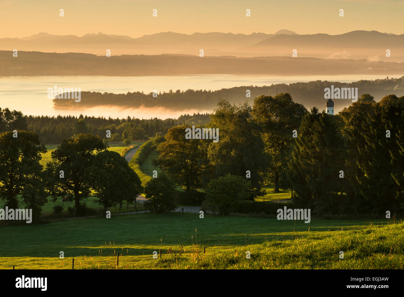 See Starnberger See, Alpen, Licht, Morgen, Atmosphäre, Baum, anzeigen, Tutzing, Kirchturm, Nebel, Stockfoto