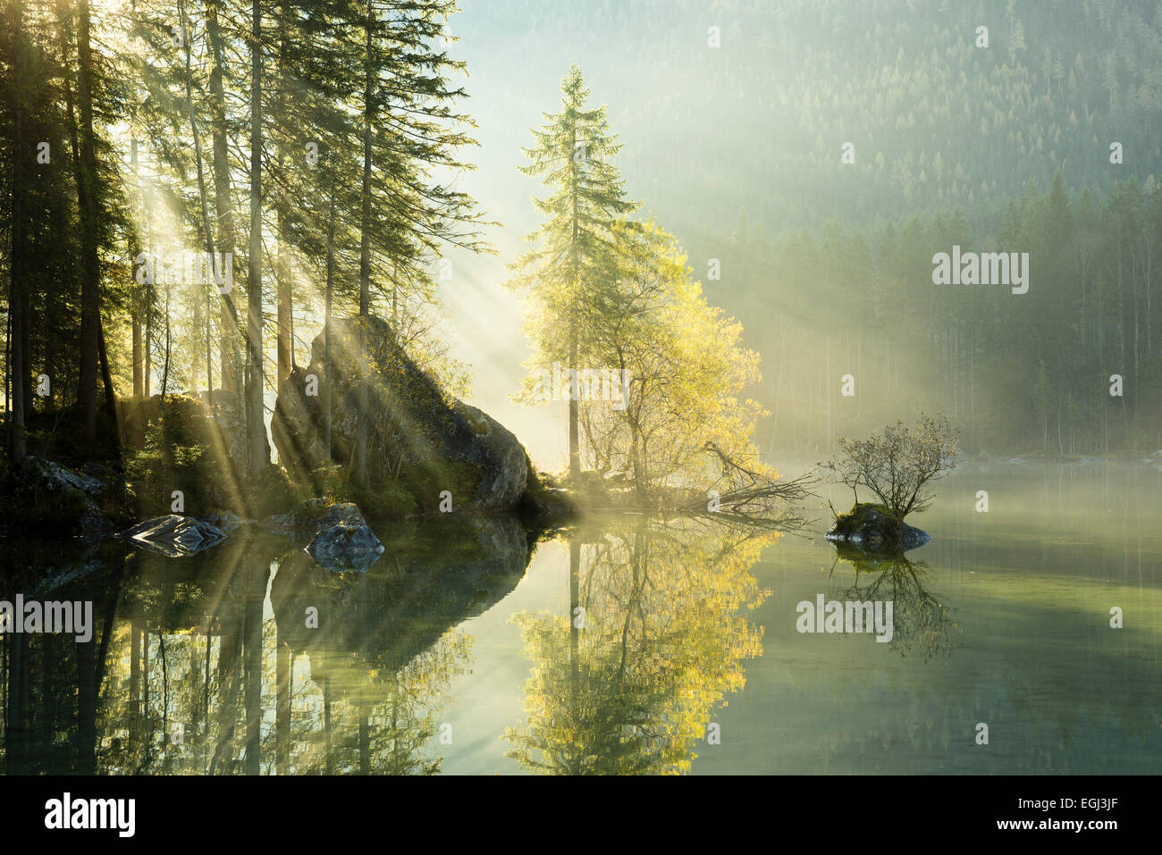 See Hintersee, See, Wasser, Reflexion, Strahlen von Licht, Baum, Herbst, Nebel, Atmosphäre, Stockfoto