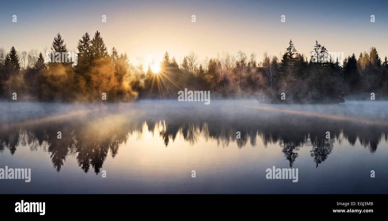 See, Nebel, Licht, Wasser, Holz, Tannen Stockfoto
