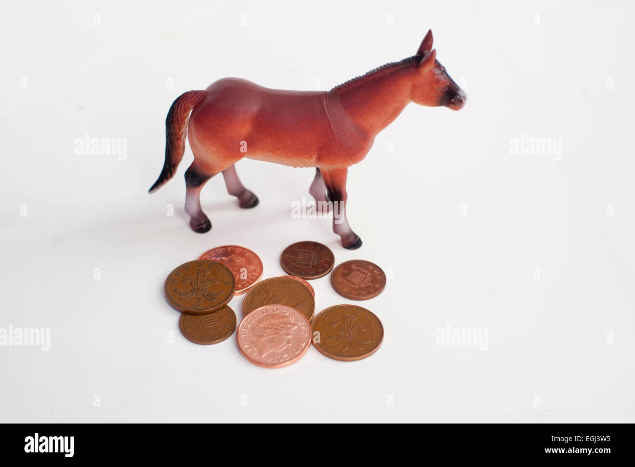 ein Pferd steht neben Kupfermünzen, Geld auf einem weißen Hintergrund isoliert Stockfoto
