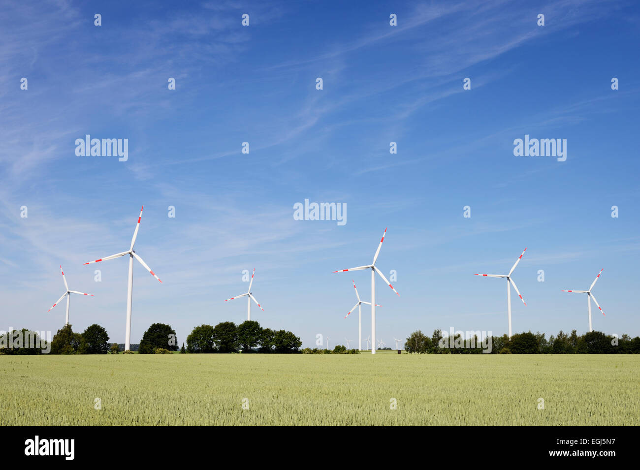 Windkraftanlagen und Getreidefeld, Deutschland, Nordrhein-Westfalen, Neuss Stockfoto