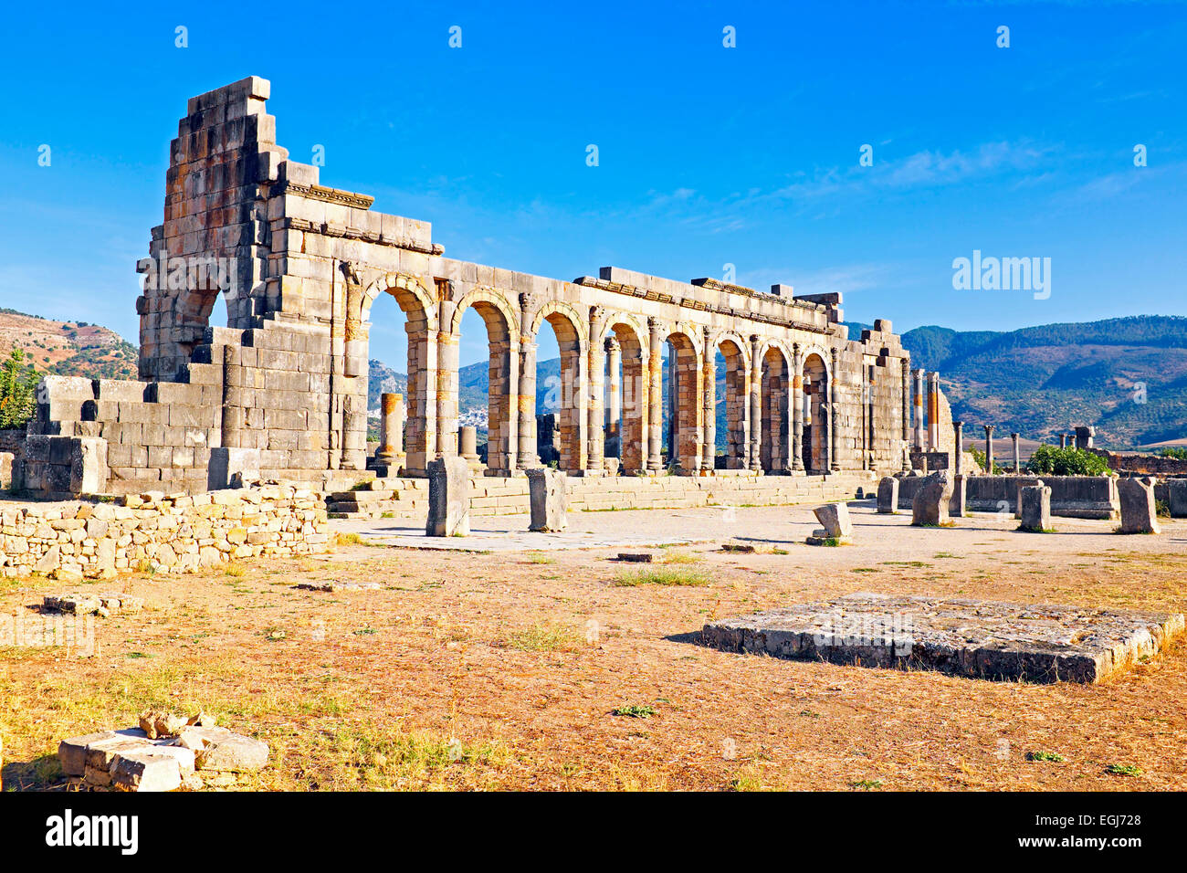Volubilis - Ruinen romanische Basilika in Marokko, Nordafrika Stockfoto