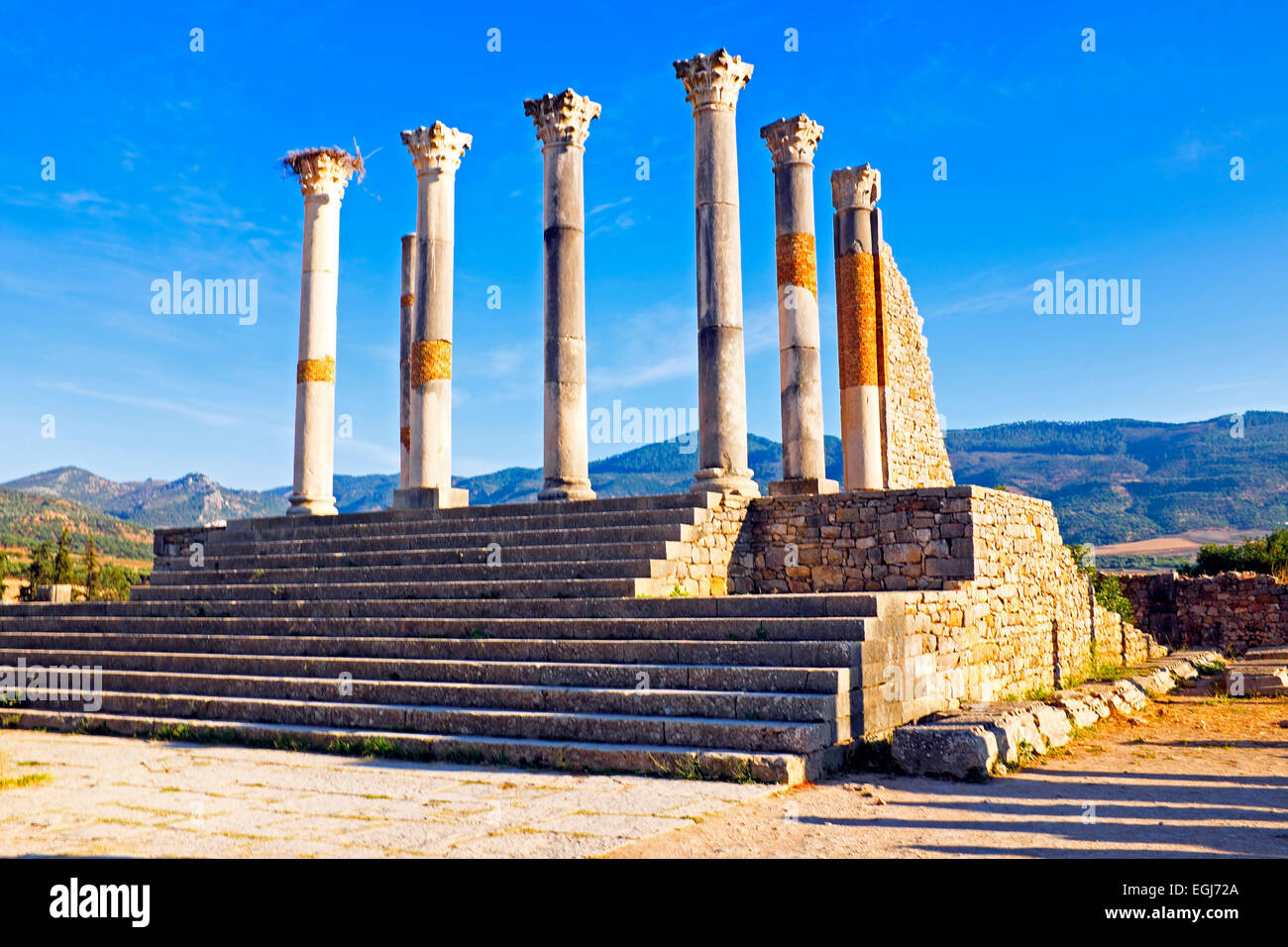 Volubilis - Ruinen romanische Basilika in Marokko, Nordafrika Stockfoto
