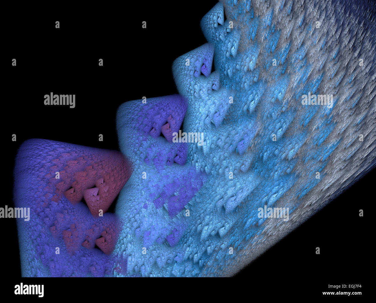 Seepferdchen. Stockfoto