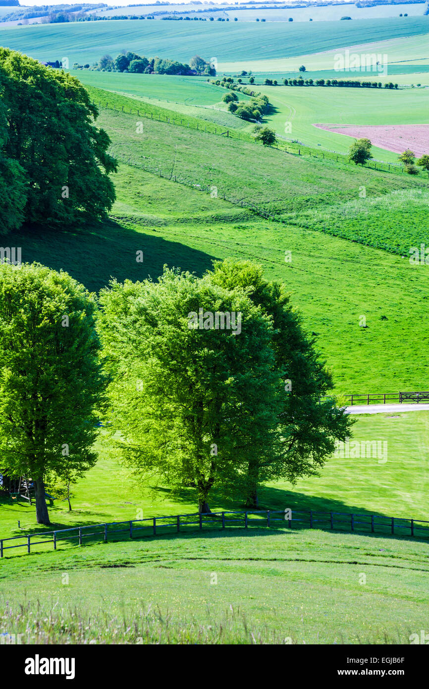 Blick über Ackerland und Hügellandschaft in Wiltshire. Stockfoto