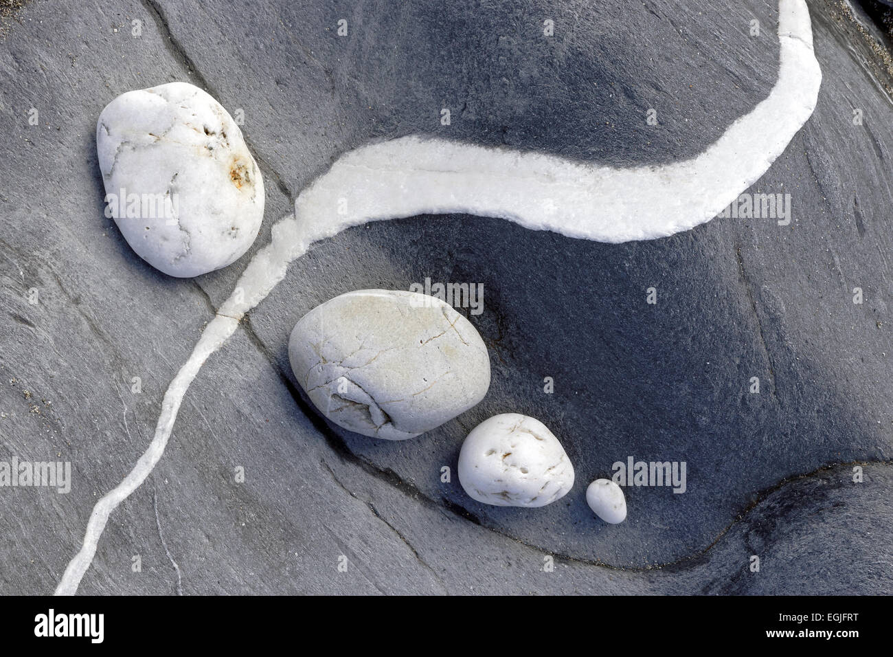 vier weiße Quarz Kies legen Sie gegen Schiefer Naturstrand Rock mit Quarzader künstlerischen. Stockfoto