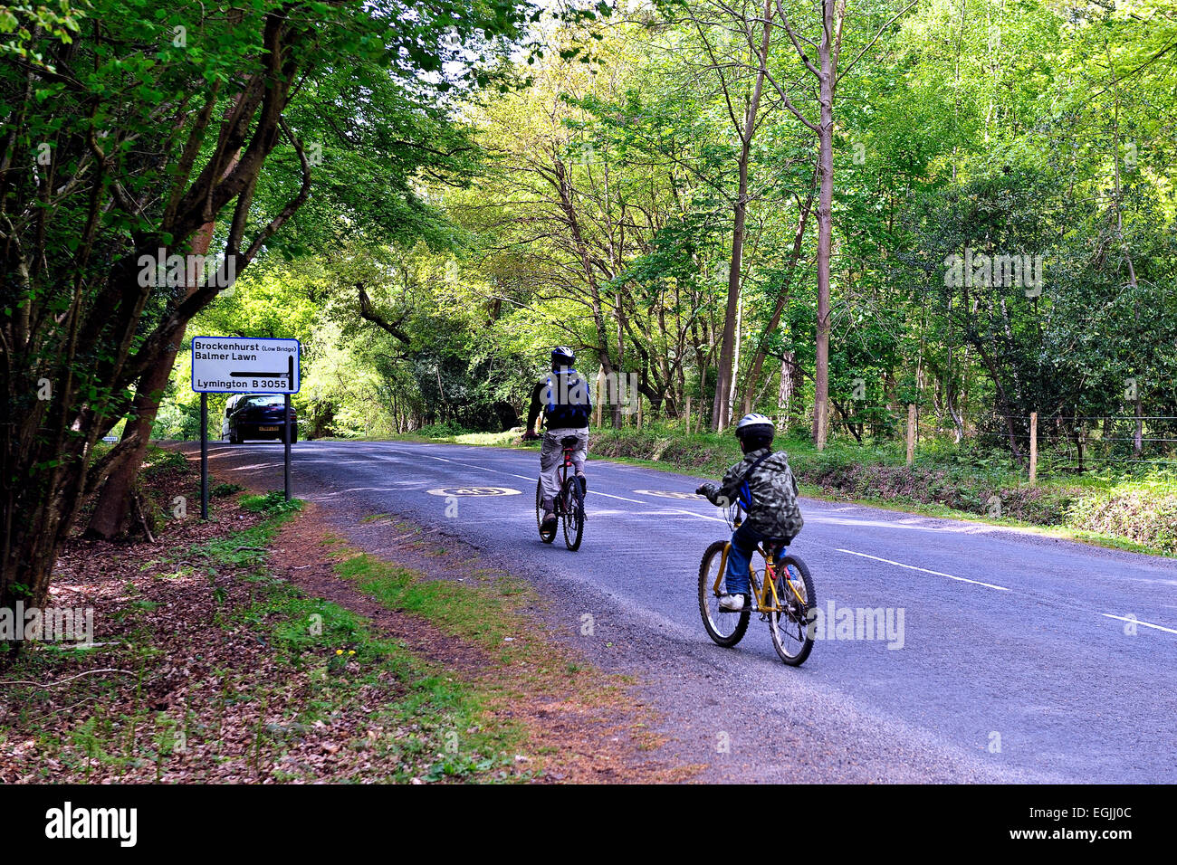 Vater und Sohn Radfahren im New forest Stockfoto