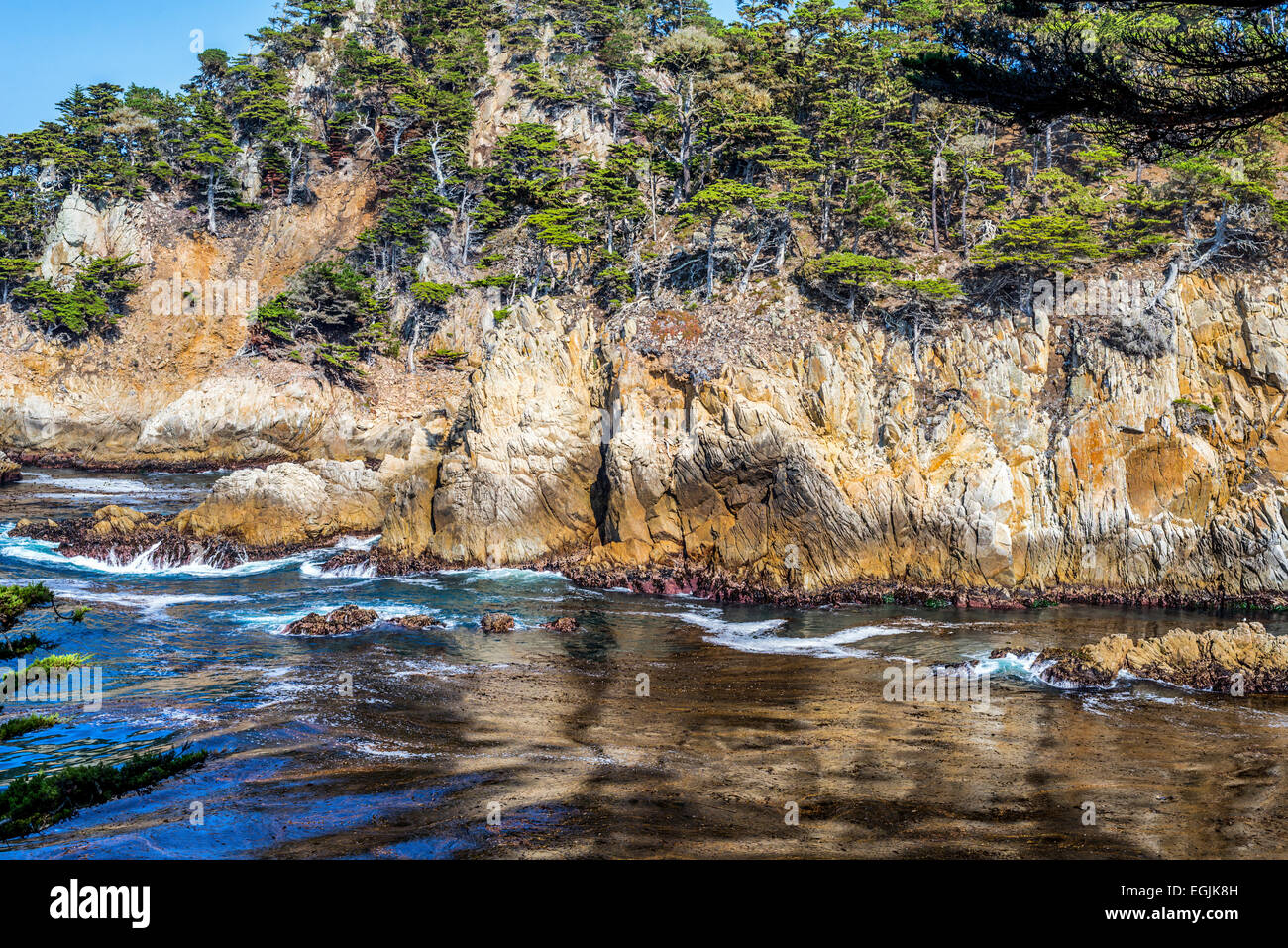 Pinien und felsigen Küste. Point Lobos State Reserve, Monterey County, Kalifornien, USA. Stockfoto