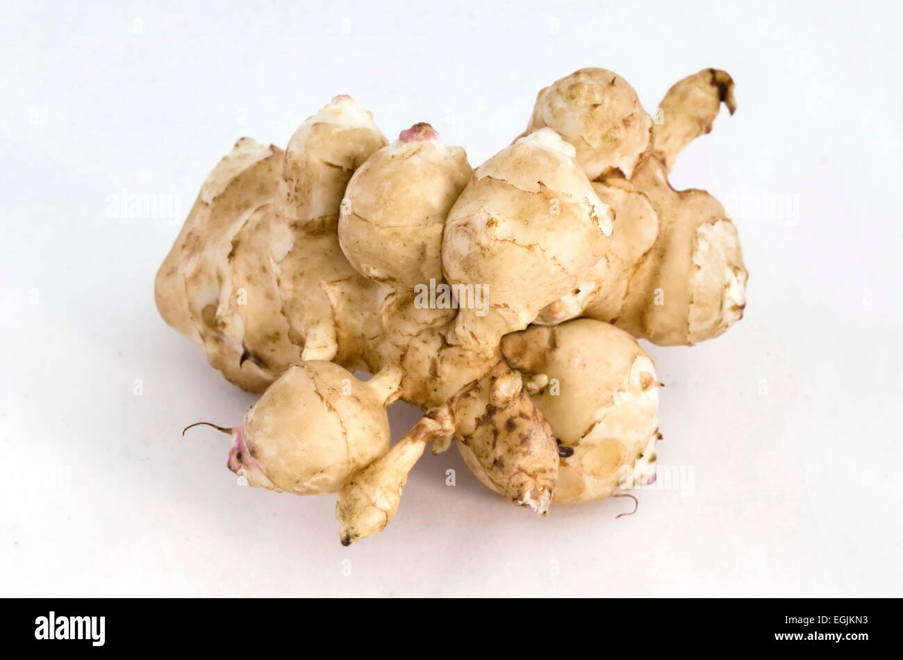 Topinambur oder Topinambur Knollen Gemüse, Sofia, Bulgarien Stockfoto
