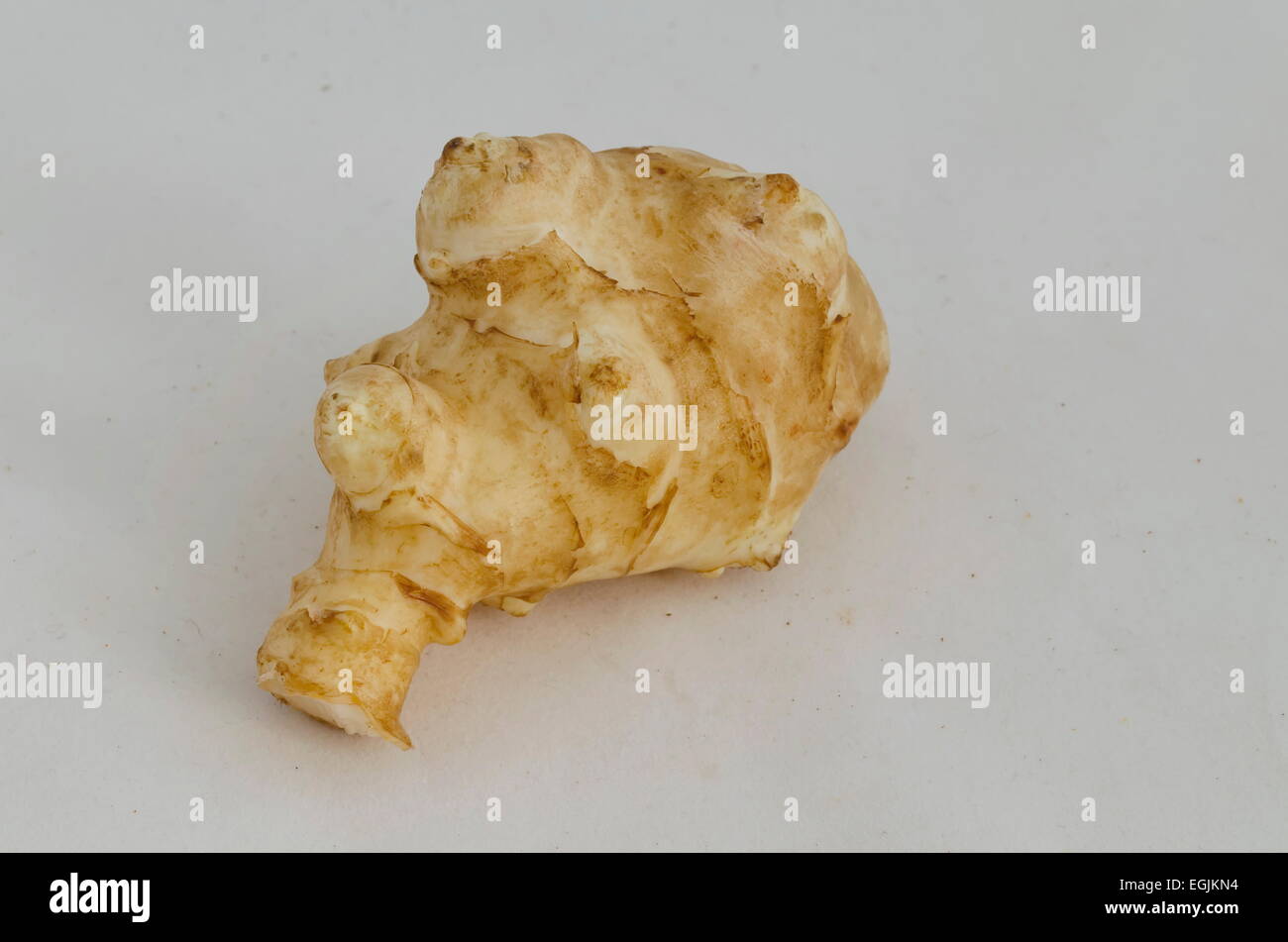 Topinambur oder Topinambur Knollen Gemüse, Sofia, Bulgarien Stockfoto