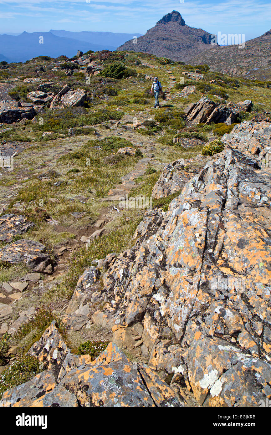 Wanderer und Mt Anne, der höchste Gipfel in Süd-west-Tasmanien Stockfoto