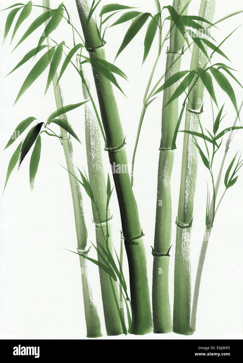 Original Aquarell Bambus. Asiatischen Stil Stockfotografie - Alamy