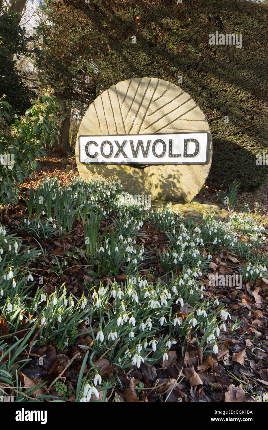 Coxwold Dorf Mühlrad Straßenschild und Schneeglöckchen in North Yorkshire. Stockfoto