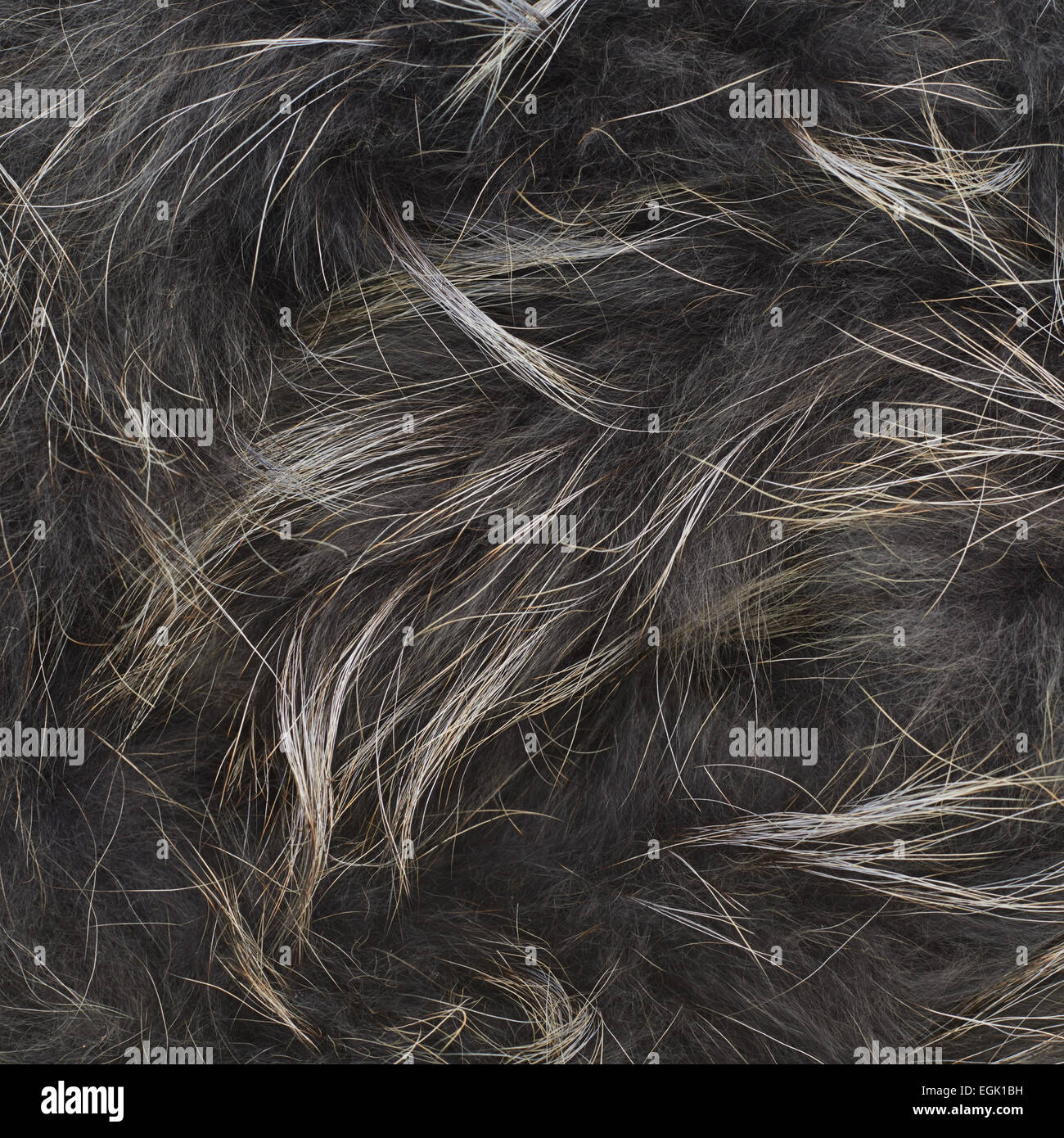 Graues Fell Textur Stockfoto