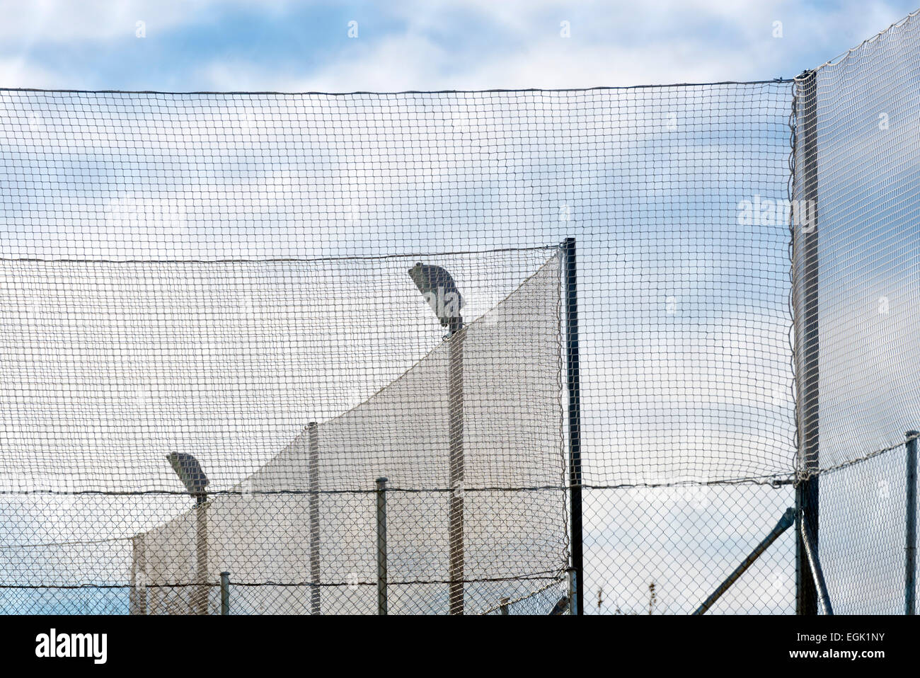 Überlappung Zäune auf einen Sportplatz Stockfoto