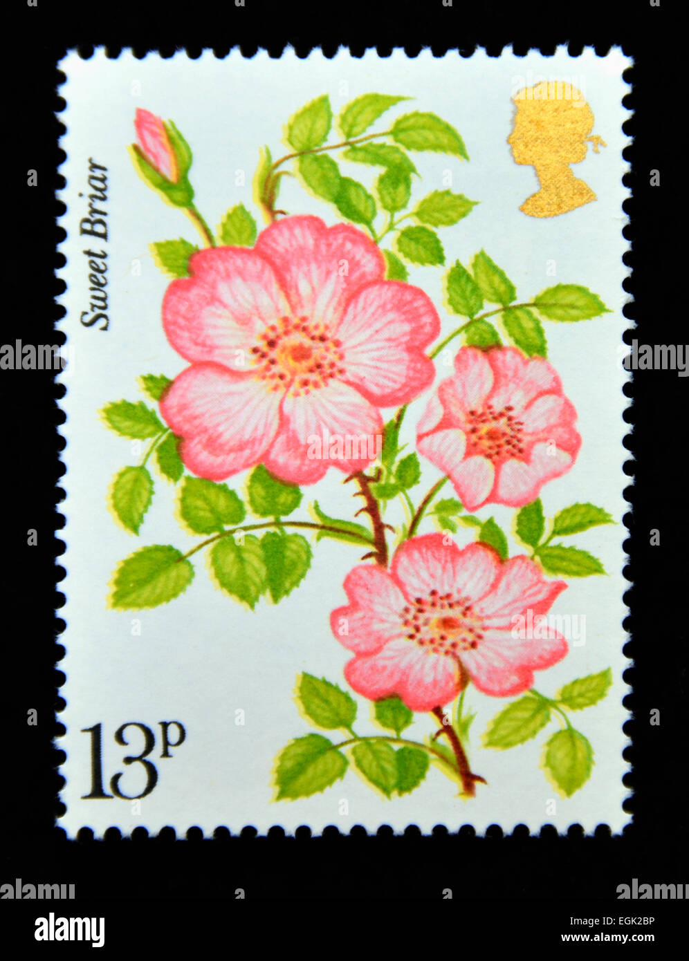 Briefmarke. Great Britain. Königin Elizabeth II. 1976. Hundertjahrfeier der Royal National Rose Society. Sweet Briar. Stockfoto