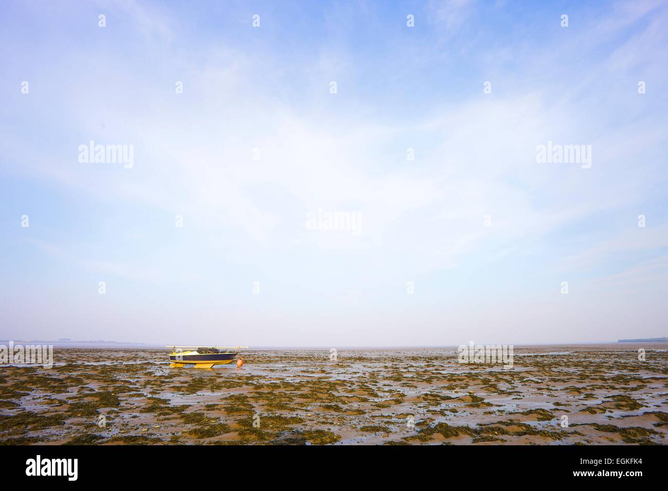 Get Kirkland straende Desktop Wallpaper