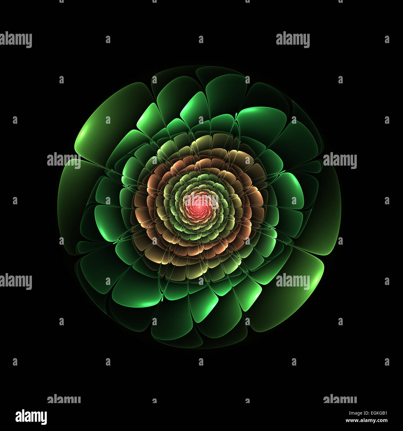 Abstraktes Fraktale Blume über schwarzen Hintergrund isoliert, Stockfoto