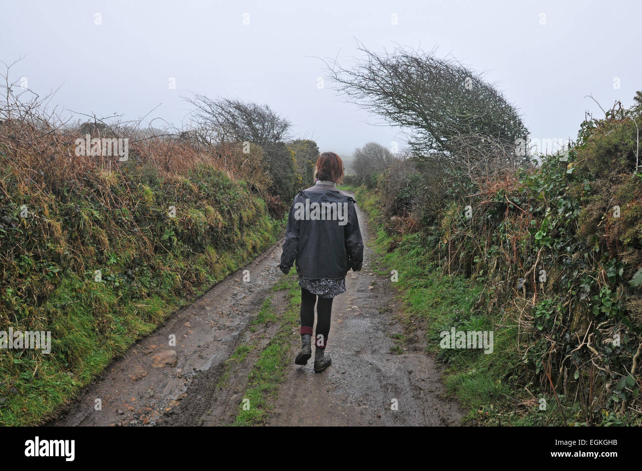 Eine Frau geht entlang einer Landstraße in Cornwall, UK Stockfoto